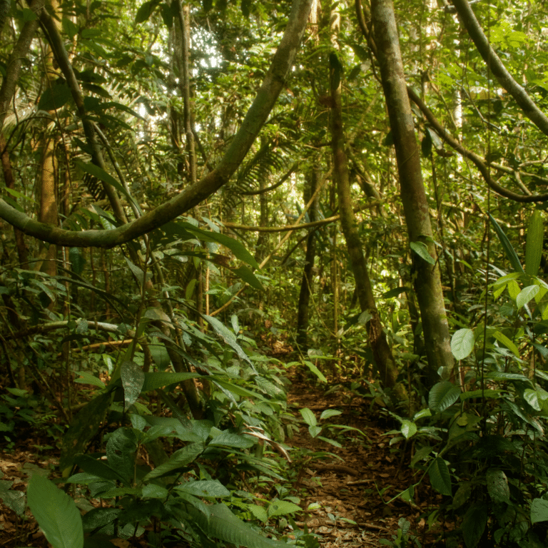 INNOVATION LABS - UNLEASH