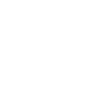 WWf white logo